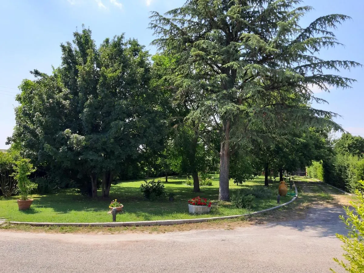 Affittacamere Casa Massimo Hotel Altedo